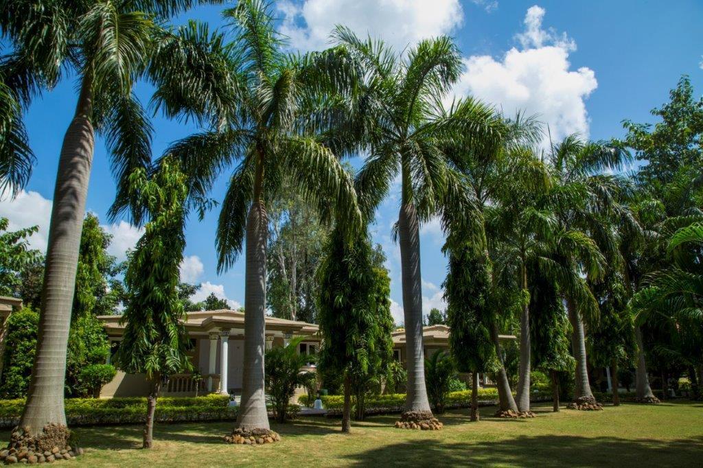 Tiger'S Den Resort Bandhavgarh National Park Екстериор снимка