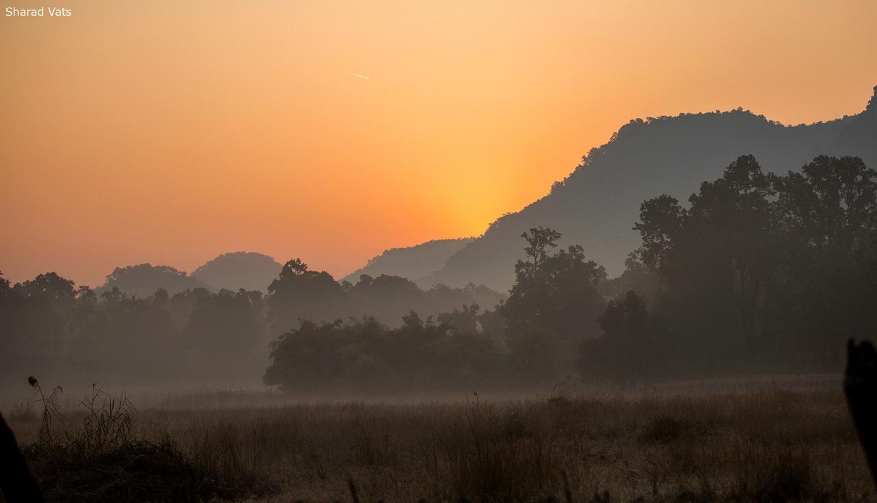 Tiger'S Den Resort Bandhavgarh National Park Екстериор снимка